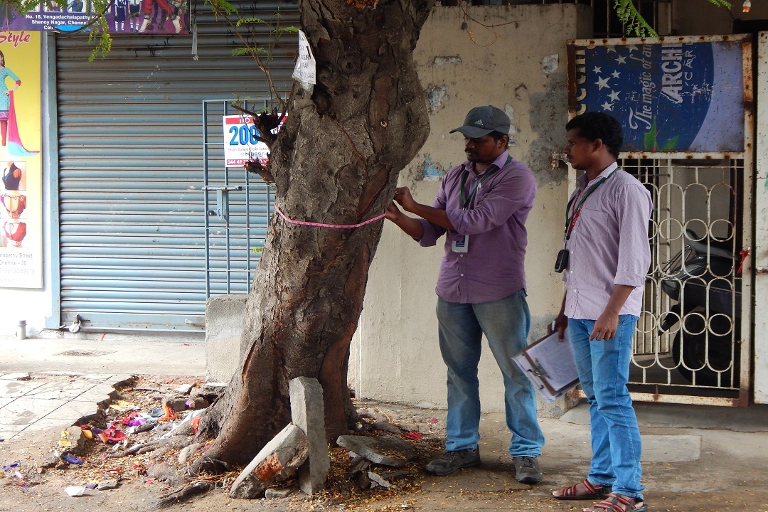 Plantation Strategy In Greater Chennai Corporation